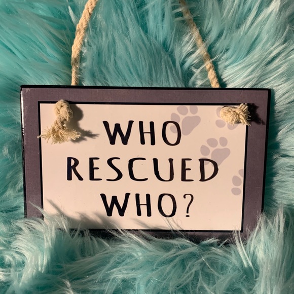 Cute Dog Bundle (See below) - Picture 3 of 6